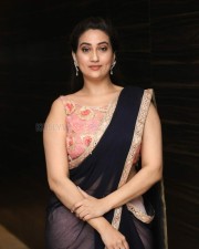 Actress Manjusha At Ninu Veedani Needanu Nene Pre Release Event Pictures