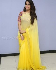 Actress Manjusha Yellow Saree Photos