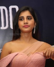 Actress Nabha Natesh At Dadasaheb Phalke Awards South Photos