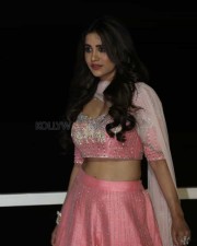 Actress Nabha Natesh At Disco Raja Pre release Event Pictures