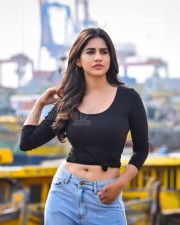 Actress Nabha Natesh Navel Photos