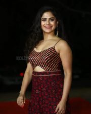 Actress Naina Ganguly at Maa Ishtam Movie Pre Release Event Pictures 05