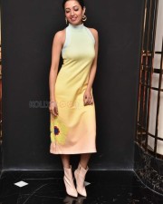 Actress Neha Shetty at DJ Tillu Movie Trailer Launch Photos 18