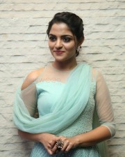 Actress Nikhila Vimal At Donga Movie Pre Release Event Photos