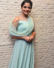 Actress Nikhila Vimal At Donga Movie Pre Release Event Photos