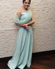 Actress Nikhila Vimal At Donga Movie Pre Release Event Photos