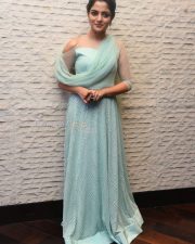 Actress Nikhila Vimal At Donga Movie Pre Release Event Photos