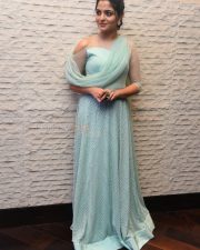 Actress Nikhila Vimal At Donga Movie Pre Release Event Photos