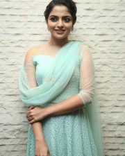 Actress Nikhila Vimal At Donga Movie Pre Release Event Photos