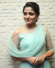 Actress Nikhila Vimal At Donga Movie Pre Release Event Photos