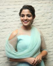Actress Nikhila Vimal At Donga Movie Pre Release Event Photos