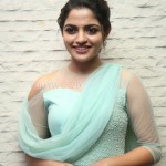 Actress Nikhila Vimal At Donga Movie Pre Release Event Photos 17Actress Nikhila Vimal At Donga Movie Pre Release Event Photos 17 svg%3E