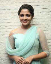 Actress Nikhila Vimal At Donga Movie Pre Release Event Photos