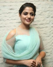 Actress Nikhila Vimal At Donga Movie Pre Release Event Photos
