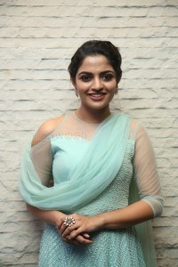 Actress Nikhila Vimal At Donga Movie Pre Release Event Photos