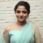 Actress Nikhila Vimal At Donga Movie Pre Release Event Photos 23Actress Nikhila Vimal At Donga Movie Pre Release Event Photos 23 svg%3E