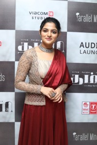 Actress Nikhila Vimal At Thambi Movie Audio Launch Stills