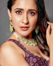 Actress Pragya Jaiswal Beautiful Photoshoot Stills 03