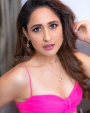 Pragya Jaiswal 52 Actress Pragya Jaiswal Pink Dress Photoshoot Pictures
