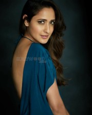 Pragya Jaiswal 17 Actress Pragya Jaiswal Sexy Photoshoot Pictures