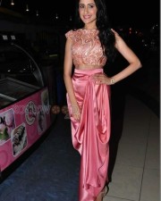 Pragya Jaiswal 4 Actress Pragya Jaiswal Stills