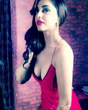 Actress Priya Banerjee Hot Photos