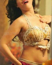 Actress Priya Banerjee Hot Spicy Photos