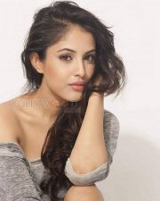 Actress Priya Banerjee Hot Spicy Photos