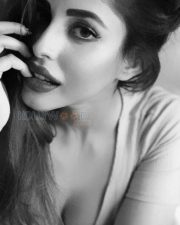 Actress Priya Banerjee Hot Spicy Photos