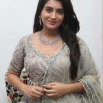 Actress Rashi Singh at Sashi Movie Pre-Release Event Photos 13Actress Rashi Singh at Sashi Movie Pre-Release Event Photos 13 svg%3E