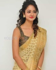 Actress Shanvi In Saree Photoshoot Pictures