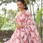 Shanvi Srivastava 18 Actress Shanvi Srivastava At Avane Srimannarayana Press Meet Photos