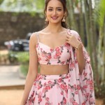 Shanvi Srivastava 14 Actress Shanvi Srivastava At Avane Srimannarayana Press Meet Photos