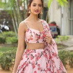 Shanvi Srivastava 16 Actress Shanvi Srivastava At Avane Srimannarayana Press Meet Photos