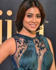 Actress Shriya Saran At Iifa Utsavam Pictures