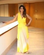 Actress Shriya Saran At Siima Awards Curtain Raiser Photos