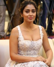 Actress Shriya Saran Cleavage Pictures