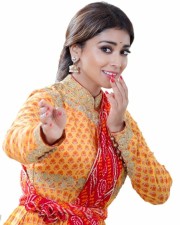 Actress Shriya Saran Dance Poses Photos