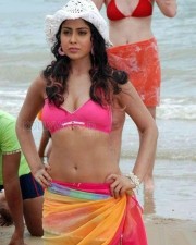 Actress Shriya Saran Glamorous Photos