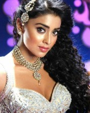 Actress Shriya Saran Glamorous Photos