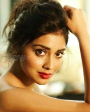 Actress Shriya Saran Glamorous Photos