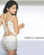 Actress Shriya Saran Glamorous Photos