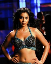 Actress Shriya Saran Glamorous Photos