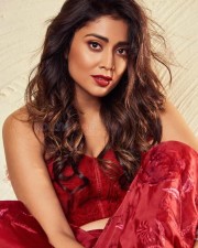 Actress Shriya Saran Gorgeous Photoshoot Pictures