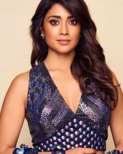 Actress Shriya Saran Gorgeous Photoshoot Pictures