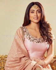 Actress Shriya Saran Gorgeous Photoshoot Pictures