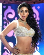 Actress Shriya Saran Hot Cleavage Pictures