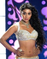 Actress Shriya Saran Hot Cleavage Pictures