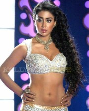 Actress Shriya Saran Hot Cleavage Pictures