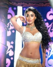 Actress Shriya Saran Hot Cleavage Pictures